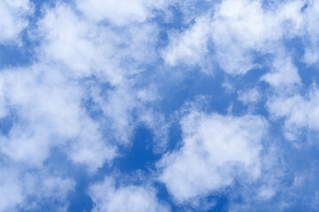 Panoramic view of the blue sky with lots of small altocumulus clouds, at daytime, Leningrad Oblast, Russia