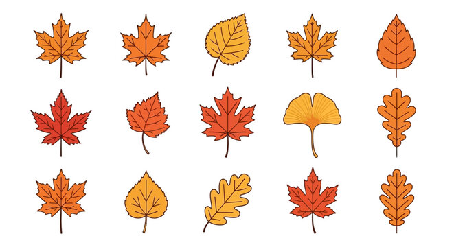 Collection of vibrant autumn leaves illustrations, showcasing various fall foliage types in warm orange, yellow, and red hues, perfect for seasonal graphic designs and natural themes