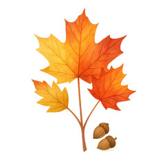 Thanksgiving design - maple leaf - watercolor transparent background