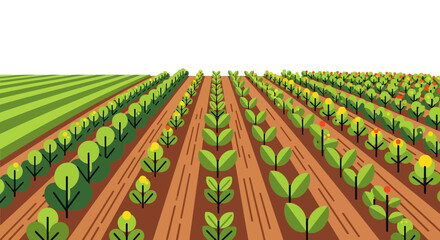Flat Vector Illustration of Agricultural Field with Rows of Crops and Plants