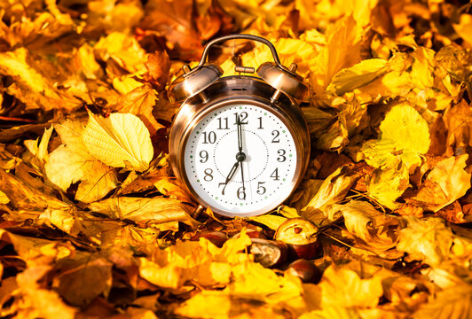 Clocks in the UK go back one hour in Autumn.  Vintage Alarm clock with two ringing alarm bells surrounded by colourful Autumn leaves and chestnuts. Horizontal  Copy space