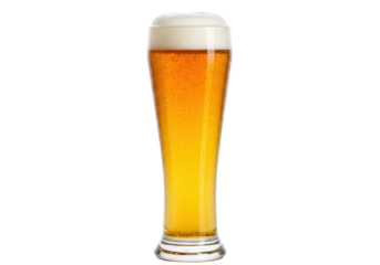 Tall glass of wheat beer with foam isolated on transparent background, refreshing alcoholic beverage for pubs and restaurants