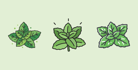 Set of three cartoon fresh green mint leaves, herb plant vector illustration. © 张锋