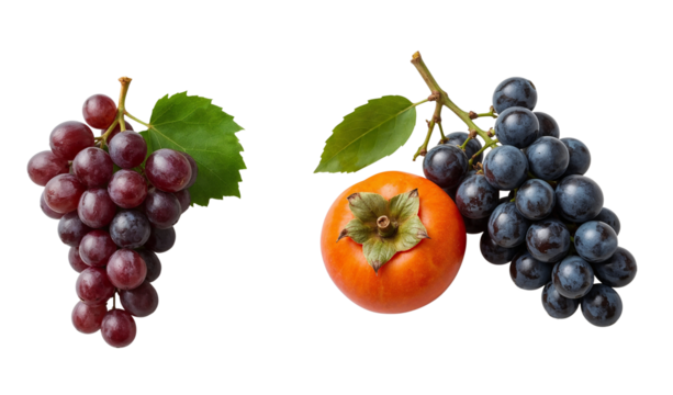 set of persimmons and grapes on a transparent background