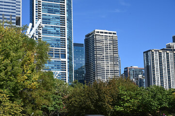 skyscrapers in downtown chicago