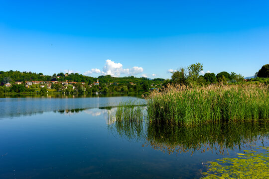 Spring landscape of Lake Comabbio in Varano Borghi, Varese, Lombardy, Italy 