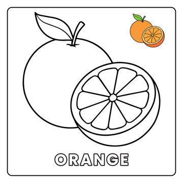 orange Cute Fruit Children Coloring Page