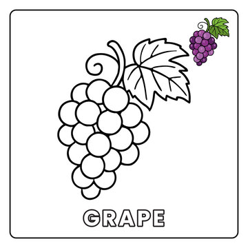 Grape Cute Fruit Children Coloring Page
