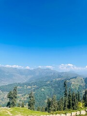 Obraz premium Layers of Forest and Mountain Peaks