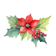 Watercolor illustration of red poinsettia flower with holly leaves and red berries. Christmas floral decor for holiday cards, winter decor, holiday design and seasonal patterns. Isolated on white back