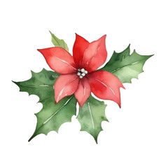 Watercolor illustration of red poinsettia flower with holly leaves and red berries. Christmas floral decor for holiday cards, winter decor, holiday design and seasonal patterns. Isolated on white back