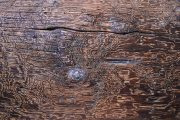 Close-up of old wood texture

