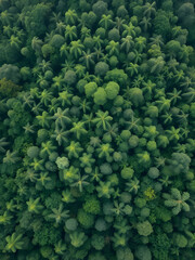Silhouette of a lone wind turbine against a vibrant sunset sky with golden light illuminating the horizon