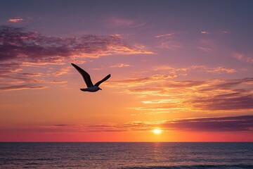 Obraz premium A soaring seagull silhouetted against a vibrant, fiery sunset over the ocean