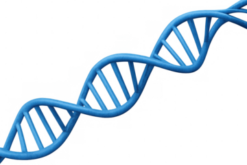 Blue dna double helix molecular structure representing genetics, biology, biotechnology, and scientific research on transparent background