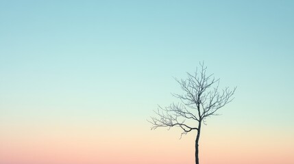Obraz premium Lonely tree stands against a pastel sky during twilight in a serene landscape