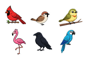 Set of cute colorful bird illustrations in cartoon style, including red, blue, yellow, pink, brown, and black birds. Perfect for education, wildlife design, and kids projects