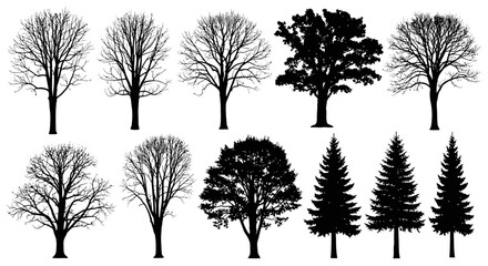 Fototapeta premium A series of tree silhouettes. Isolated on a white background. 
