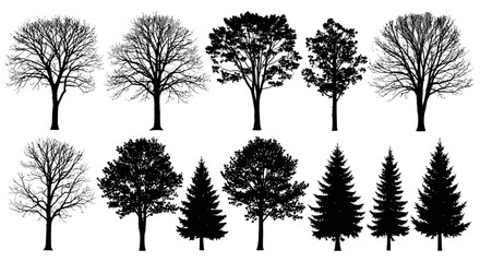 A series of tree silhouettes. Isolated on a white background. 