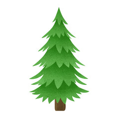 Evergreen pine tree illustration with layered textured branches on transparent background