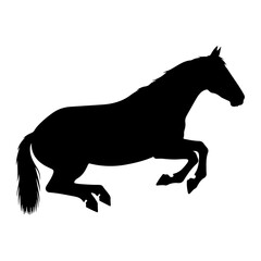Fototapeta premium Black horse leaping silhouette white