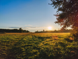 Wsch&oacute;d słońca na ścieżce leśnej