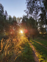 Wsch&oacute;d słońca na ścieżce leśnej