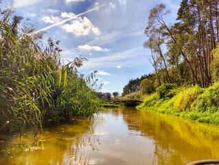 spływ rzeką Barcz w Dolina Baryczy © Grzegorz