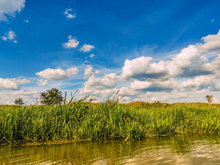 spływ rzeką Barcz w Dolina Baryczy © Grzegorz