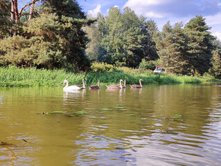 spływ rzeką Barcz w Dolina Baryczy