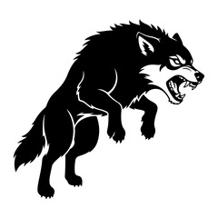 Obraz premium Black wolf snarling mid leap aggressive leaping