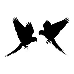Obraz premium Two black parrots flying silhouette bird