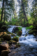 Serene Forest Stream with Waterfall