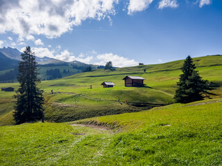 Alpe di Siusi Dolomites mountains Italy. Drone footage of mountain peaks of Plattkofel Sassopiatto. Wooden cabins on Alpe Siusi fields. Beautiful hut on Alpe di Siusi alpine plateau Seiser Alm.