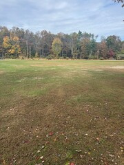 autumn in the park