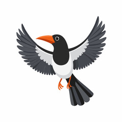 Black and white magpie robin vector with touches of orange, flying with wings spread. Colorful, lively illustration perfect for wildlife, birdwatching, nature, and playful design projects