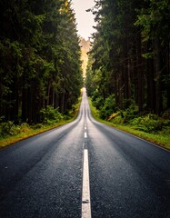 Asphalt road through a dense forest, leading towards a bright sky