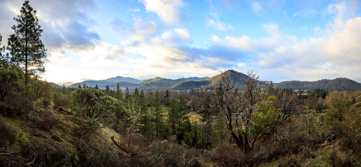 Serene Nature Scene: A Vast Skyline Amidst Wilderness