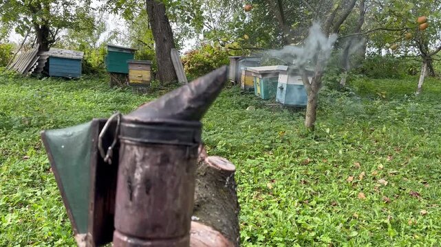 Beekeeping smoker tool on wooden surface