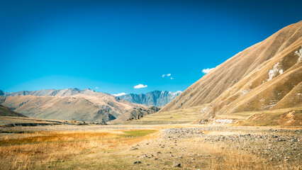 Fototapeta premium Panoramic view of Truso Valley in Georgia on a sunny autumn day. Golden grasslands and majestic Caucasus Mountains under a deep blue sky create a peaceful natural scene