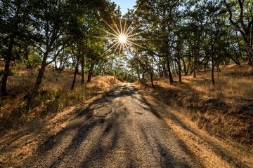 Dramatic Sunbeam on a Dirt Road in a Rural Landscape