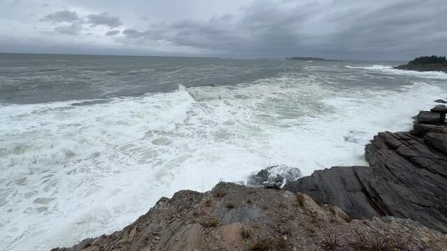 Rocky Stormy Coast & Seagull in Flight