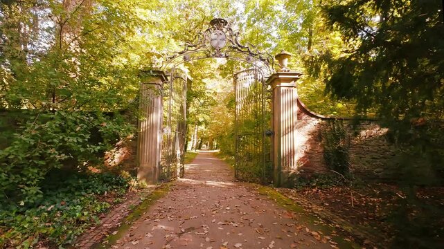 Mysterious gates to the forest. Leaf fall. Yellow leaves on the ground. Sunshine. Romantic mood.