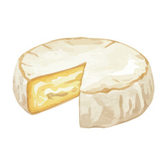 Watercolor-style Camembert cheese illustration