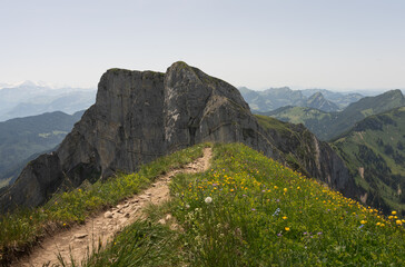 Naklejka premium Mountain trail lined with wildflowers, leading to a mountain in the Eigenthal valley, a beautiful landscape under a blue summer sky