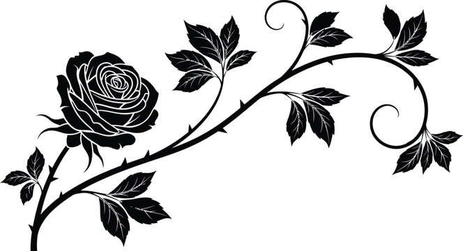 A black rose with leaves and thorns on a white background design art