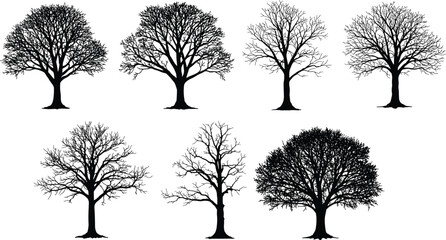 Leafless tree silhouettes, winter forest elements, bare branches, botanical illustration, nature shapes, seasonal design, black trees, isolated tree graphics