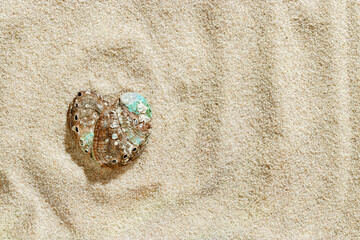 Aesthetic minimal love summer sea holiday concept, white seashells as heart on fine sand. Top view colorful abalone shells on sandy textured background, sea, blue green beige earthy color