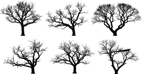 Leafless tree silhouettes, winter forest illustration, bare branches, nature design, botanical art, seasonal landscape, isolated trees, vector graphic, black shape