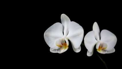 Abstract digital glitch art with vibrant horizontal lines and patterns